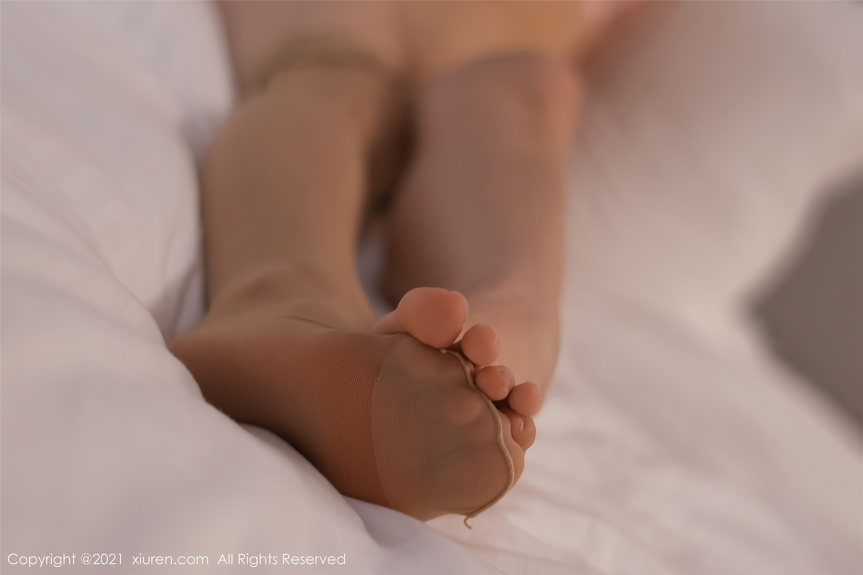 XiuRen秀人网  2021.05.07 No.3379 娜露Selena